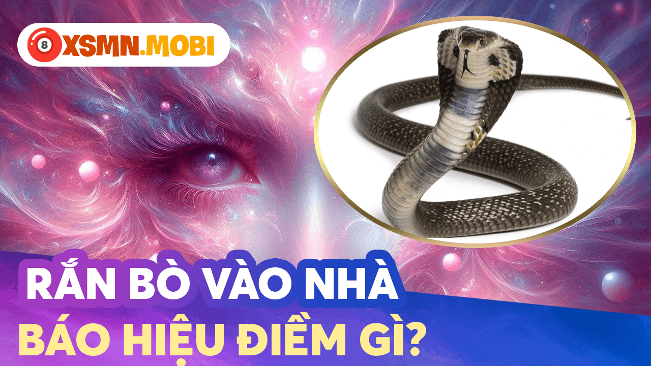 Rắn bò vào nhà có điềm gì? Giải mã theo ý nghĩa tâm linh như thế nào?