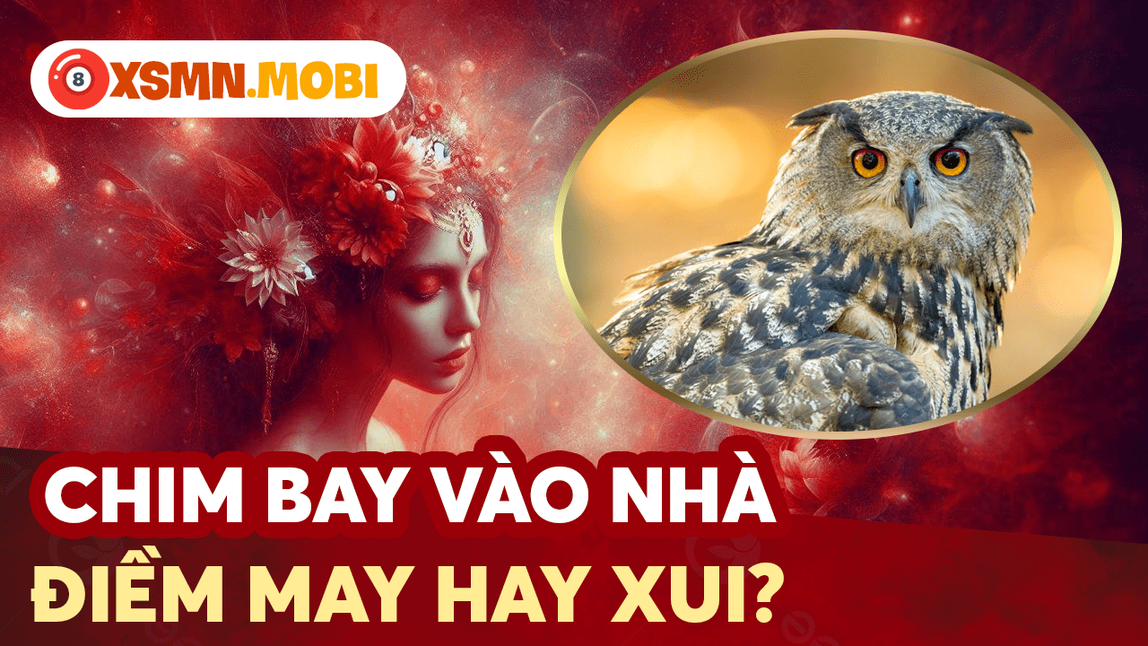 Chim vào nhà báo hiệu điềm gì? Giải mã theo quan niệm dân gian