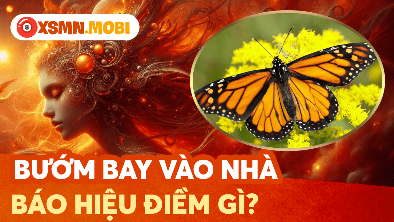 Bướm vào nhà điềm gì? Điềm báo tâm linh may hay rủi?