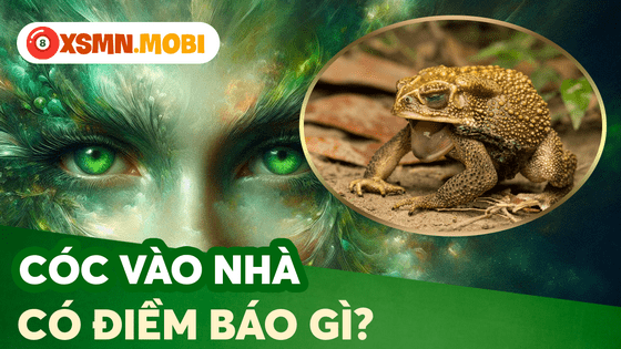 Điềm báo con cóc nhảy vào nhà là lành hay dữ?